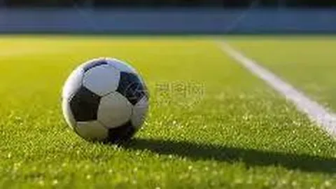 Pg电子试玩模拟器